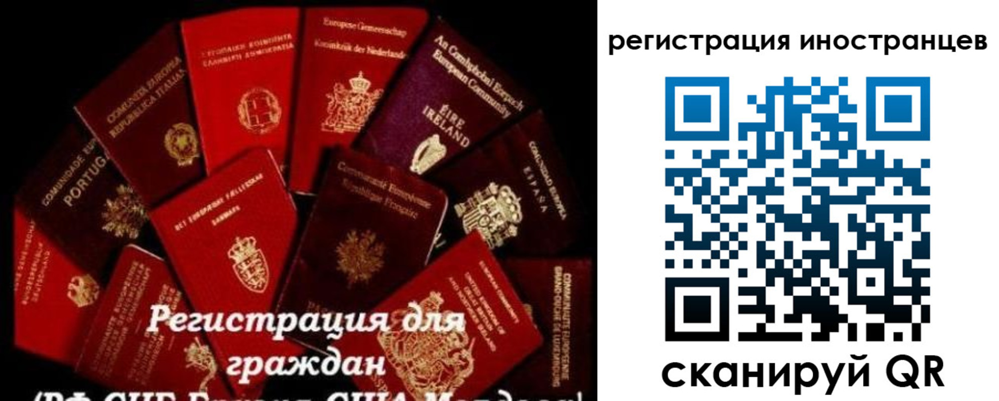 прописка иностранных граждан в Полярных Зорях